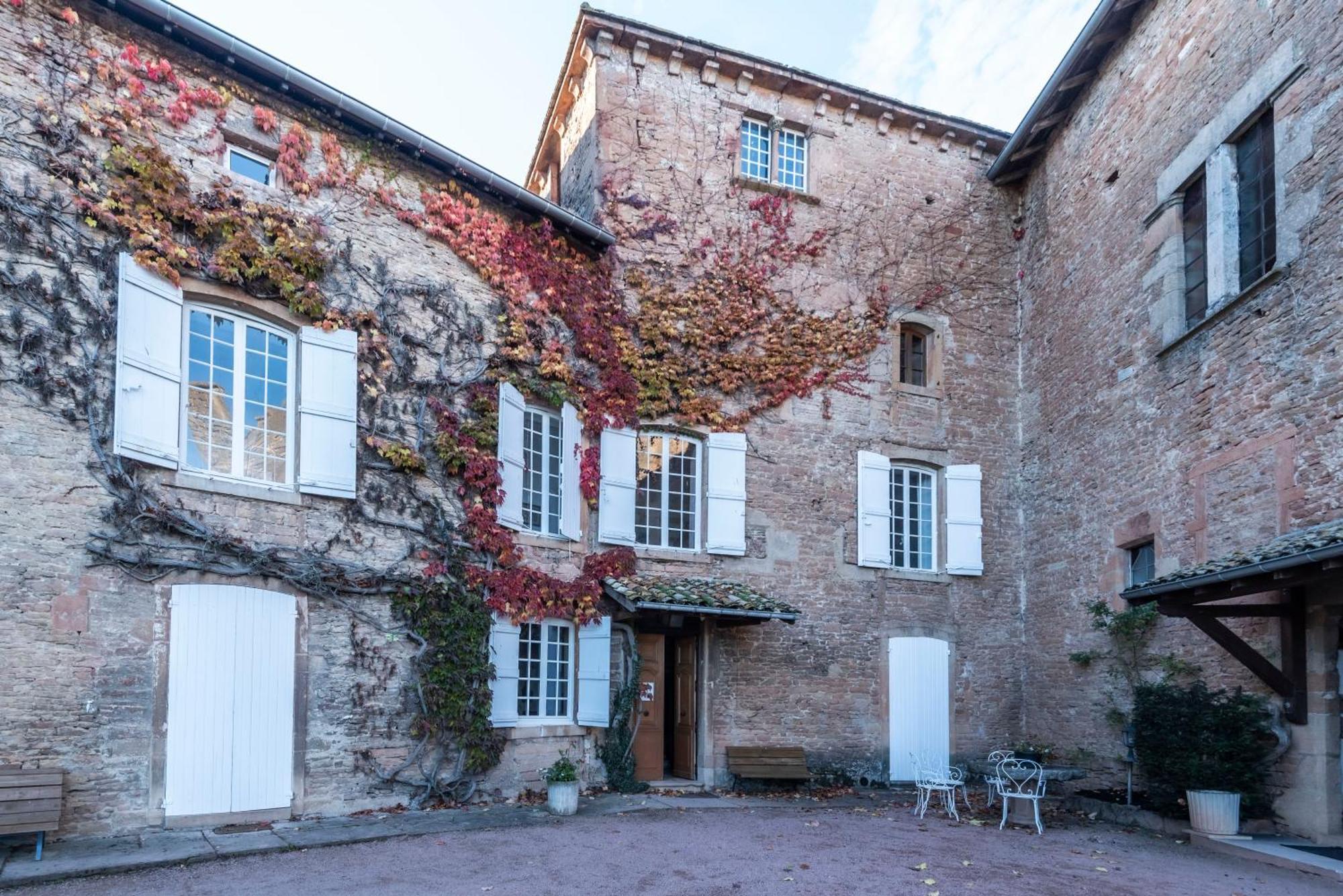 Chateau De Salornay Hurigny Esterno foto